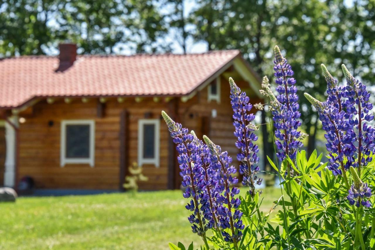 Meku Vila Degučiai Buitenkant foto